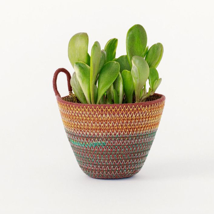 Teal and Marigold Mini Rope Plant Holder by Moriah Okun