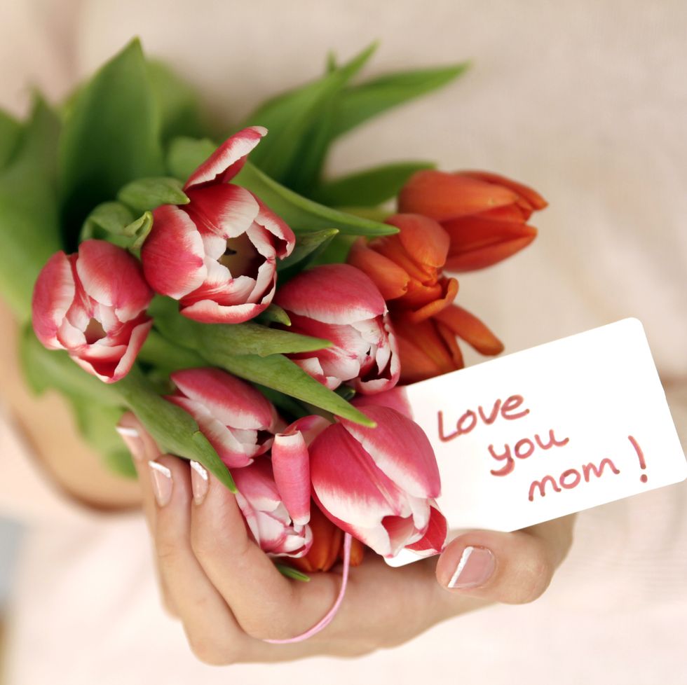 close up of hands holding tulips for mom