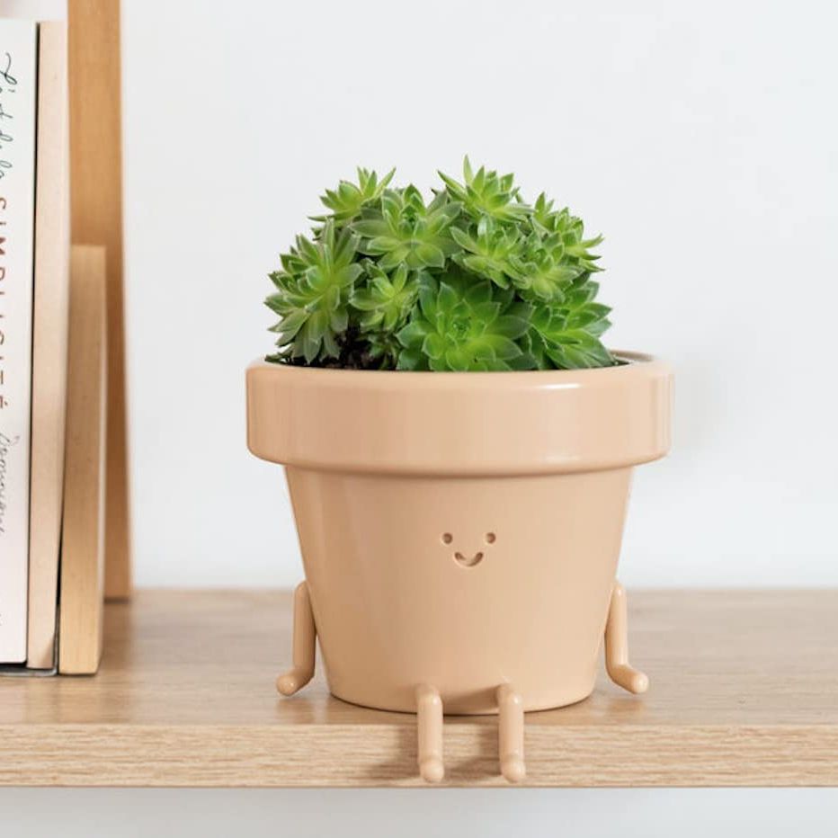 Sitting Indoor Plant Pot with Face