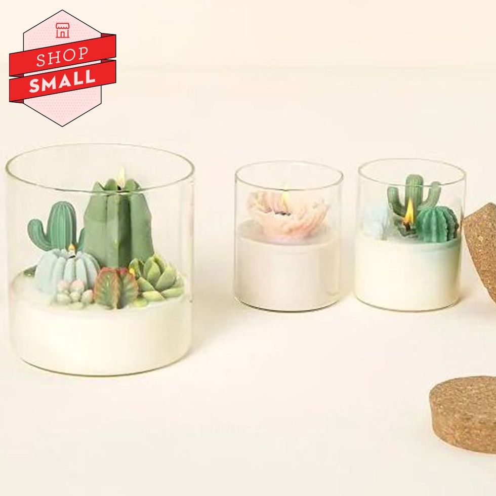 Terrarium Candle