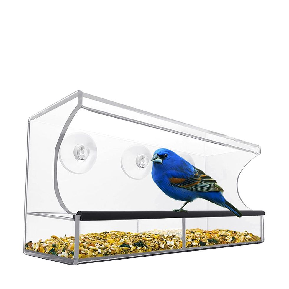 Window Bird Feeder