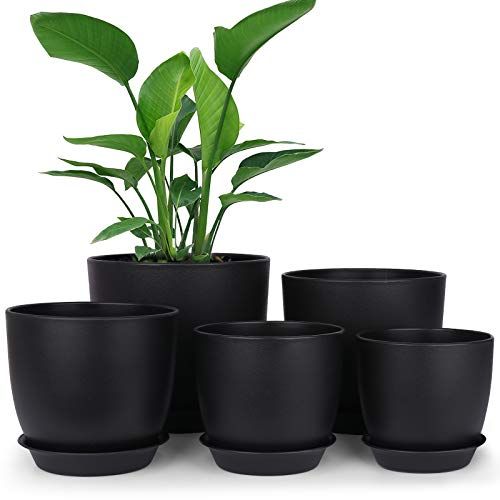 Plastic Planters