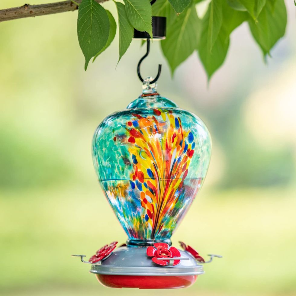 Glass Hummingbird Feeder