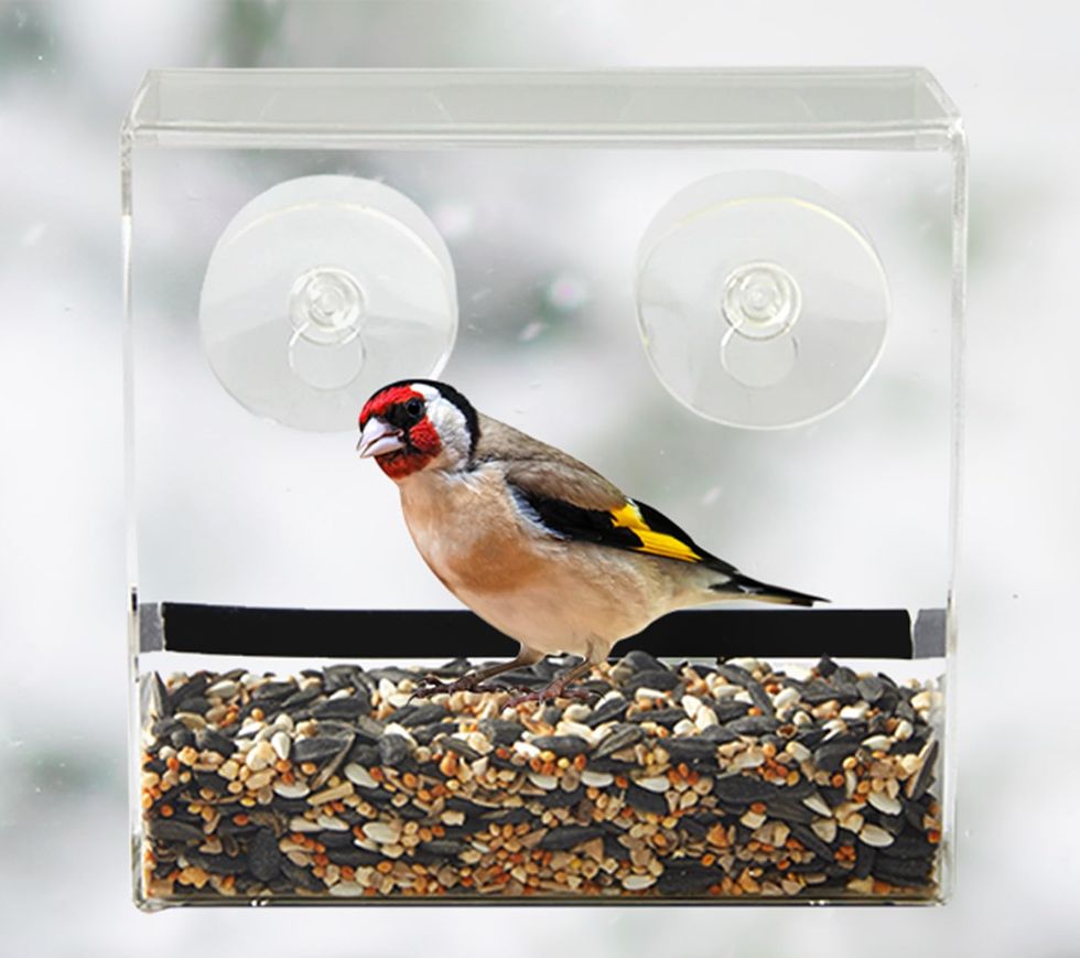 Clear Window Bird Feeder