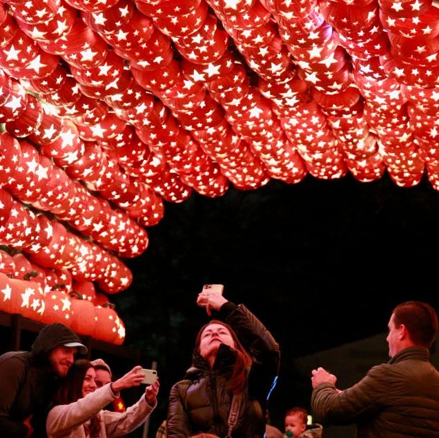 people admire a canopy made of illuminated carved pumpkins during the great jack olantern blaze in croton on hudson, new york