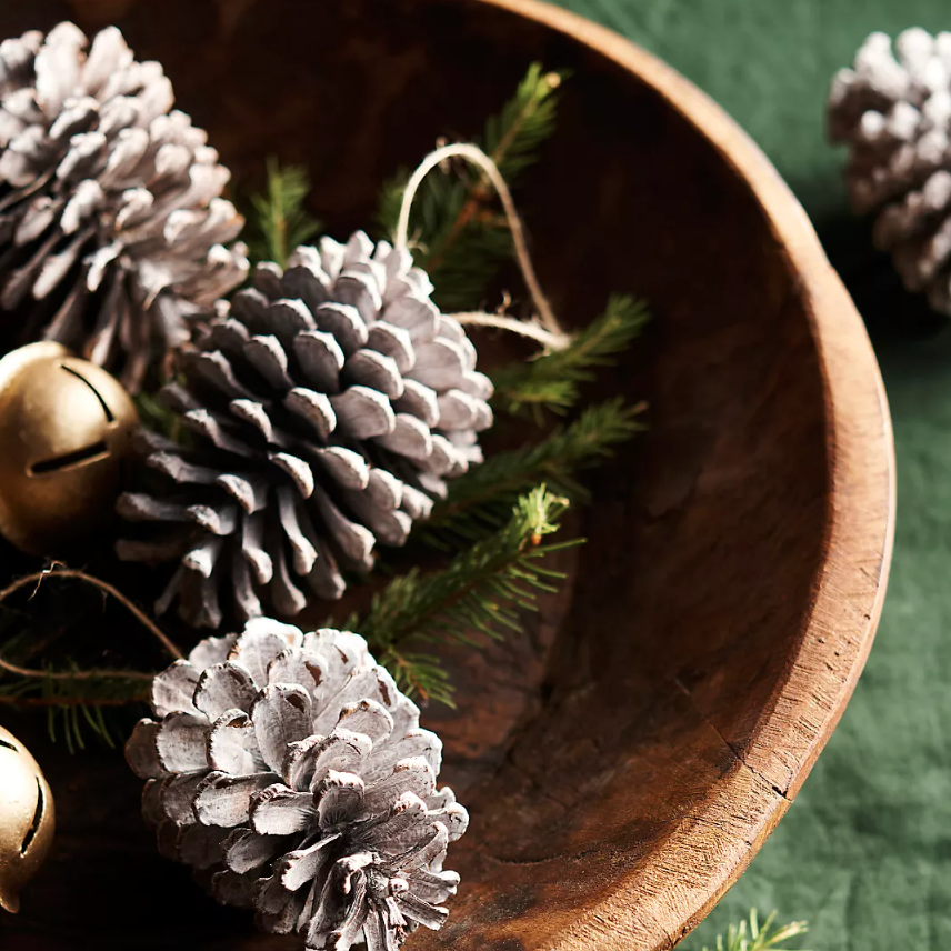 Frosted Pine Cone Ornaments