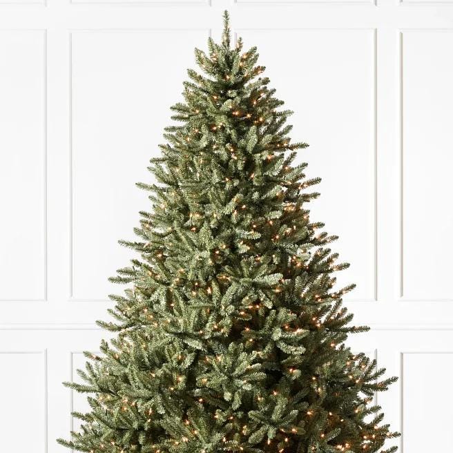 Classic Blue Spruce Trees