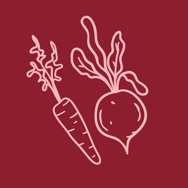 a stylized carrot and a radish are depicted side by side with distinct leafy tops