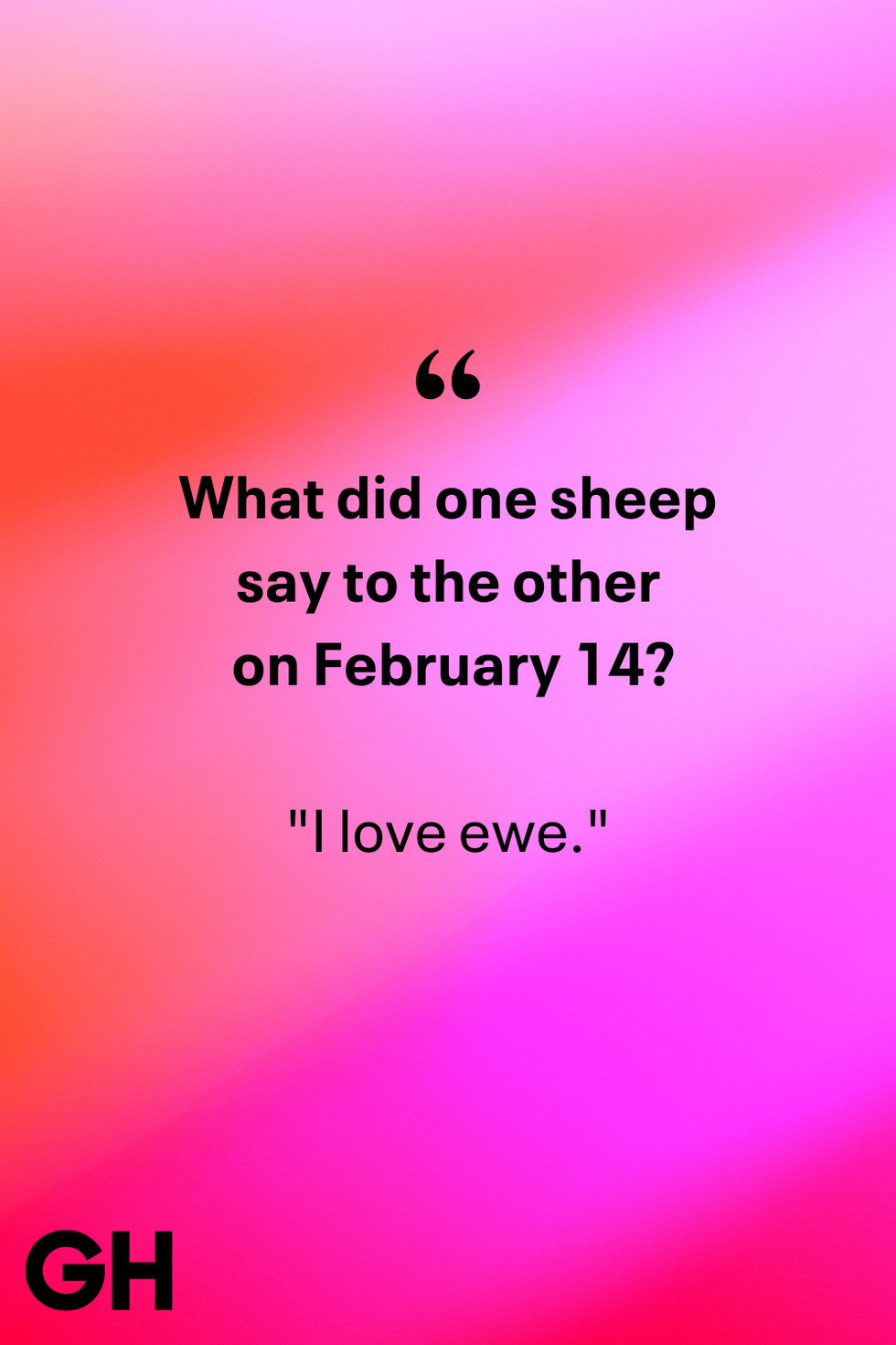 a humorous valentines day joke featuring sheep