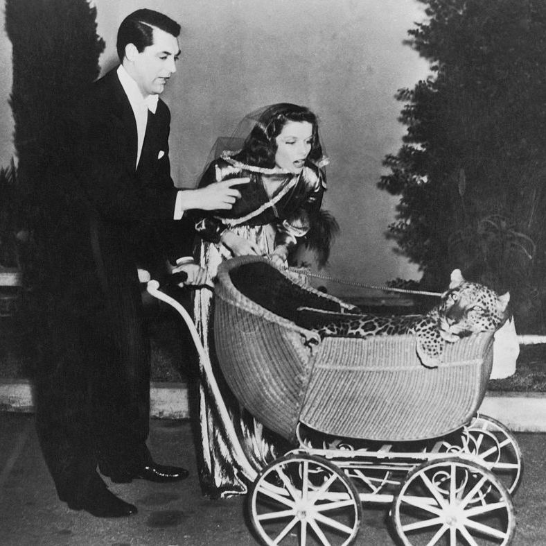 cary grant and katharine hepburn push a stroller carrying a leopard in a scene from bringing up baby